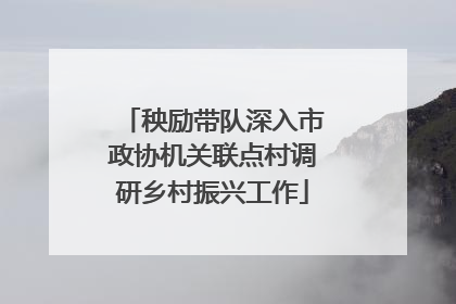 秧励带队深入市政协机关联点村调研乡村振兴工作