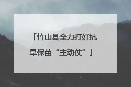 竹山县全力打好抗旱保苗“主动仗”