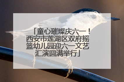 童心璀璨庆六一！西安市莲湖区双府摇篮幼儿园迎六一文艺汇演圆满举行