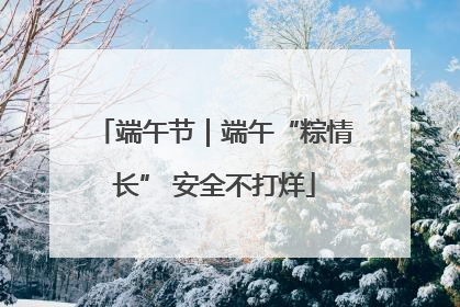 端午节｜端午“粽情长” 安全不打烊