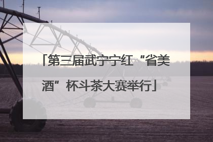 第三届武宁宁红“省美酒”杯斗茶大赛举行