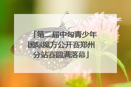第二届中匈青少年国际魔方公开赛郑州分站赛圆满落幕