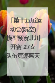 第十五届运动会(航空)模型预赛北川开赛 27支队伍竞逐蓝天
