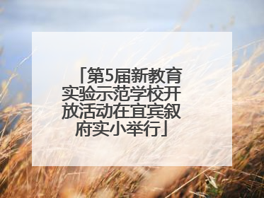 第5届新教育实验示范学校开放活动在宜宾叙府实小举行