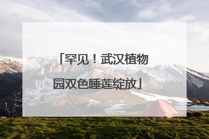 罕见！武汉植物园双色睡莲绽放