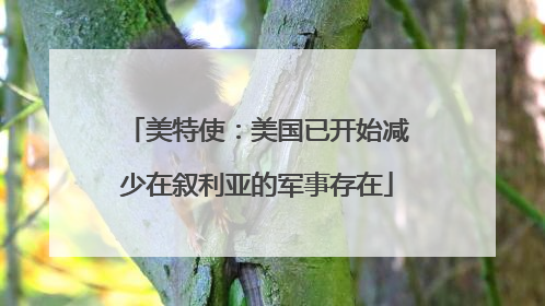 美特使：美国已开始减少在叙利亚的军事存在