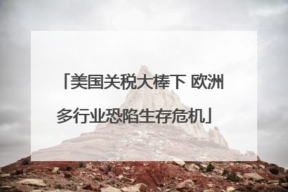 美国关税大棒下 欧洲多行业恐陷生存危机