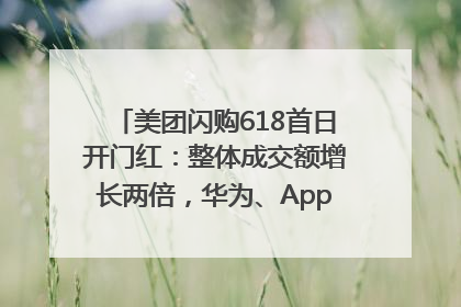 美团闪购618首日开门红：整体成交额增长两倍，华为、Apple、沃尔玛等近800个品牌翻倍增长