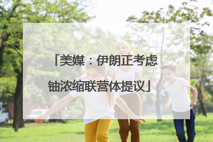 美媒：伊朗正考虑铀浓缩联营体提议
