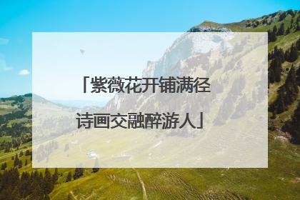 紫薇花开铺满径 诗画交融醉游人