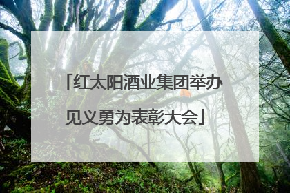 红太阳酒业集团举办见义勇为表彰大会