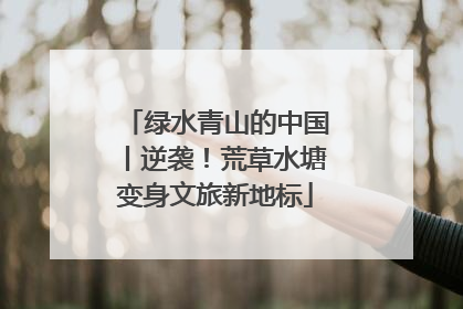 绿水青山的中国丨逆袭！荒草水塘变身文旅新地标