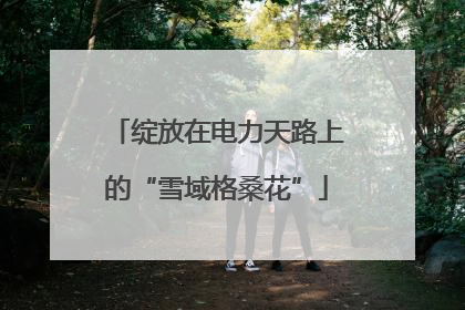 绽放在电力天路上的“雪域格桑花”