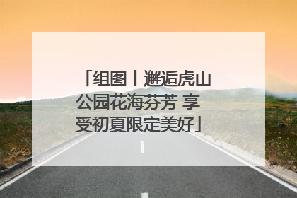 组图丨邂逅虎山公园花海芬芳 享受初夏限定美好