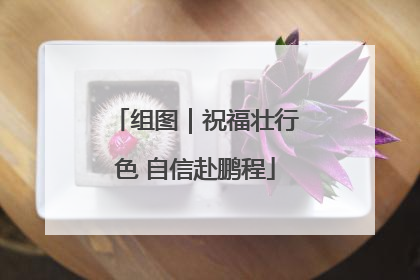 组图｜祝福壮行色 自信赴鹏程