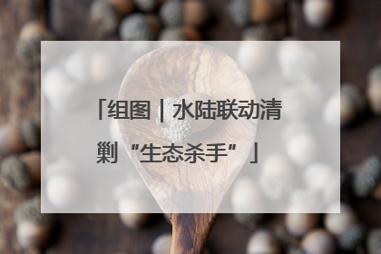 组图｜水陆联动清剿“生态杀手”