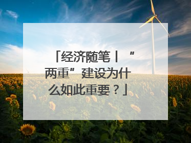 经济随笔丨“两重”建设为什么如此重要？