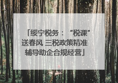 绥宁税务：“税课”送春风 三税政策精准辅导助企合规经营