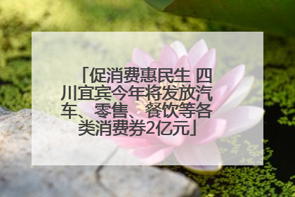 促消费惠民生 四川宜宾今年将发放汽车、零售、餐饮等各类消费券2亿元