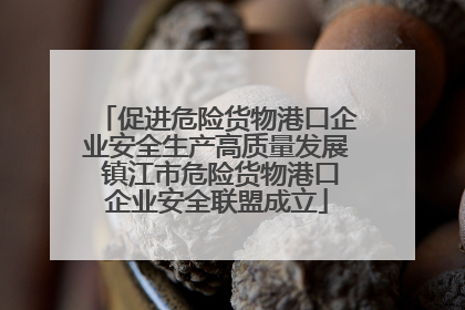 促进危险货物港口企业安全生产高质量发展 镇江市危险货物港口企业安全联盟成立