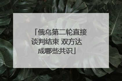 俄乌第二轮直接谈判结束 双方达成哪些共识