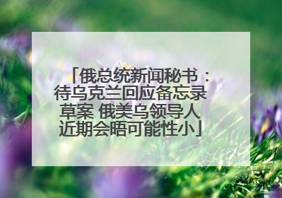 俄总统新闻秘书：待乌克兰回应备忘录草案 俄美乌领导人近期会晤可能性小