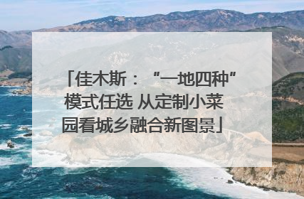 佳木斯：“一地四种” 模式任选 从定制小菜园看城乡融合新图景