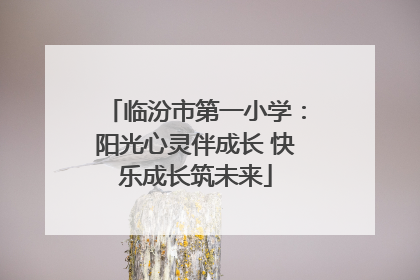 临汾市第一小学：阳光心灵伴成长 快乐成长筑未来