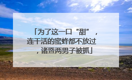 为了这一口“甜”，连干活的蜜蜂都不放过，诸暨两男子被抓