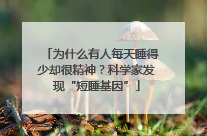 为什么有人每天睡得少却很精神？科学家发现“短睡基因”