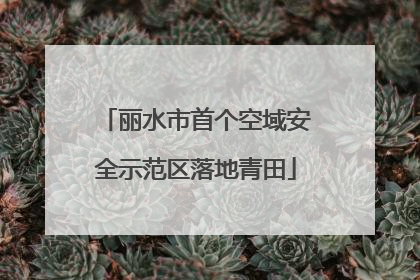 丽水市首个空域安全示范区落地青田