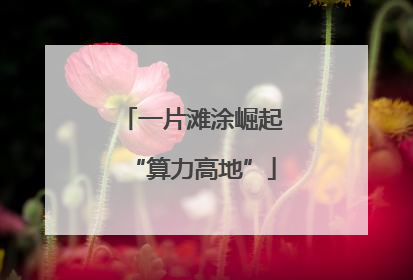一片滩涂崛起“算力高地”