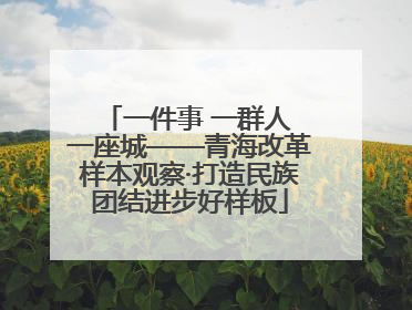一件事 一群人 一座城——青海改革样本观察·打造民族团结进步好样板