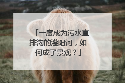 一度成为污水直排沟的滏阳河，如何成了景观？