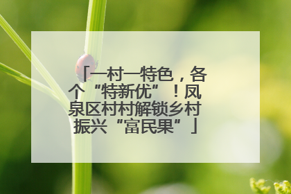 一村一特色，各个“特新优”！凤泉区村村解锁乡村振兴“富民果”