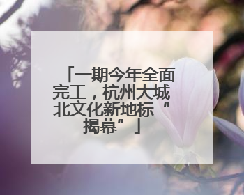 一期今年全面完工，杭州大城北文化新地标“揭幕”