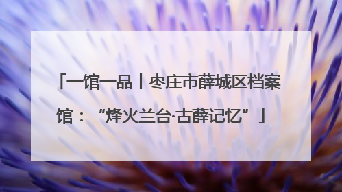 一馆一品丨枣庄市薛城区档案馆：“烽火兰台·古薛记忆”