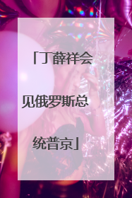 丁薛祥会见俄罗斯总统普京