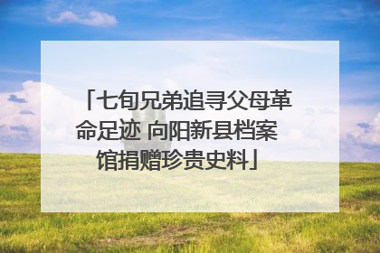 七旬兄弟追寻父母革命足迹 向阳新县档案馆捐赠珍贵史料