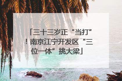 三十三岁正“当打”！南京江宁开发区“三位一体”挑大梁