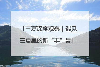 三夏深度观察｜遇见三夏里的新“丰”景