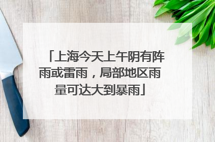 上海今天上午阴有阵雨或雷雨，局部地区雨量可达大到暴雨