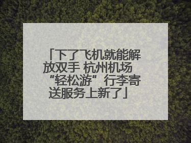 下了飞机就能解放双手 杭州机场“轻松游”行李寄送服务上新了