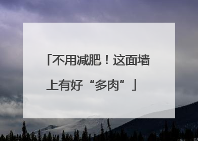不用减肥！这面墙上有好“多肉”
