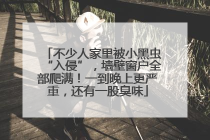 不少人家里被小黑虫“入侵”，墙壁窗户全部爬满！一到晚上更严重，还有一股臭味