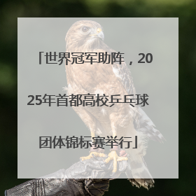 世界冠军助阵，2025年首都高校乒乓球团体锦标赛举行
