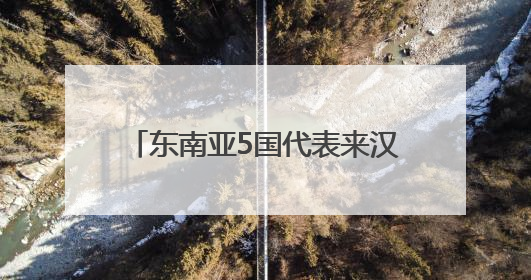 东南亚5国代表来汉寻江豚“保护处方”