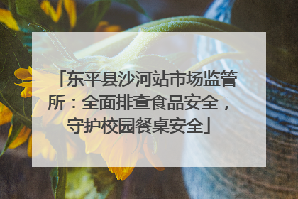 东平县沙河站市场监管所：全面排查食品安全，守护校园餐桌安全