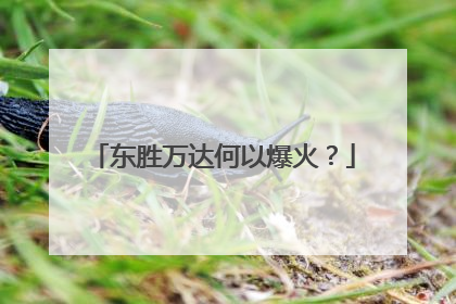 东胜万达何以爆火？