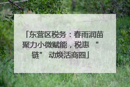 东营区税务：春雨润苗聚力小微赋能，税惠 “链” 动焕活商圈